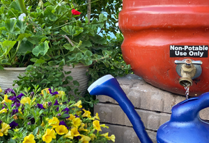 What is a Rain Barrel?