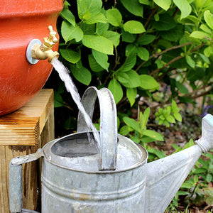 Terracotta Rain Barrel 50 - 55 Gallon